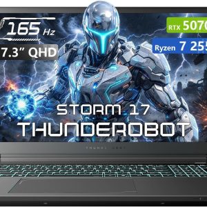 Thunderobot Storm 17.3
